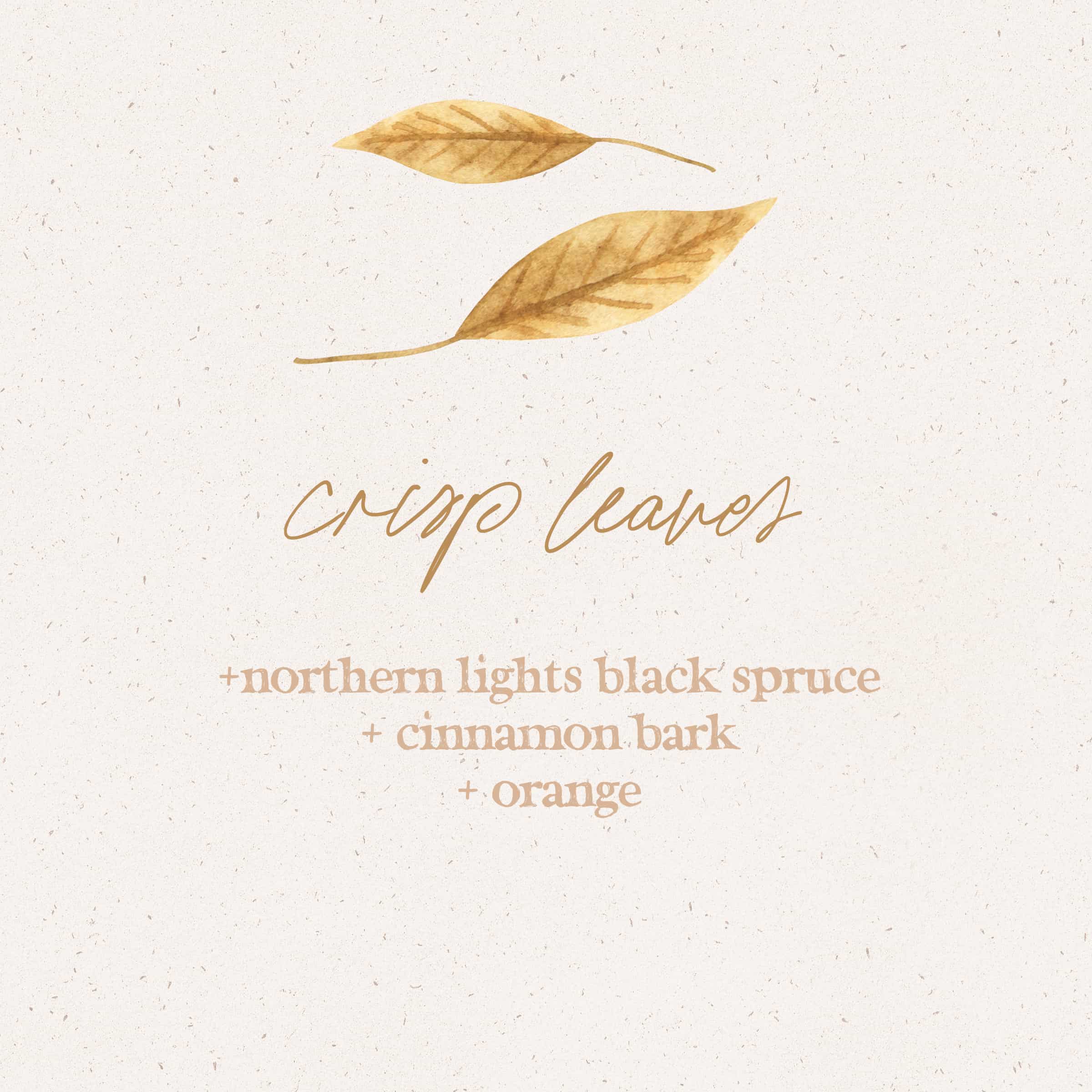 Crisp Autumn Leaves Diffuser Blend - Soul Care Mom